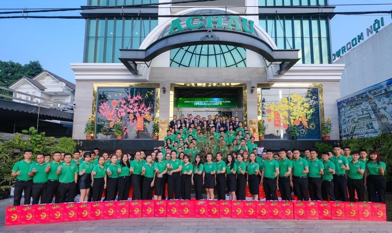 lĩnh vực hoạt động